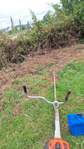 Photo de galerie - Debroussaillage 