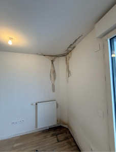 Photo de galerie - Dégât des eaux