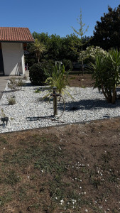 Photo de galerie - Création de massif avec bordure et plantation 