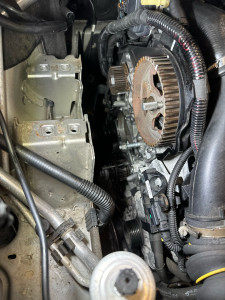 Photo de galerie - Courroie de distribution 1,6l hdi PSA