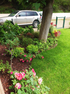 Photo de galerie - Création et plantation 