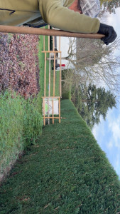 Photo de galerie - Cyprès 