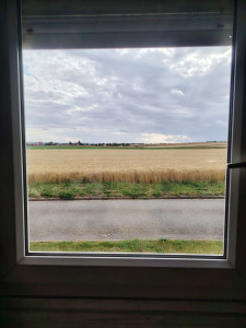 Photo de galerie - Une vitre tout propre ?