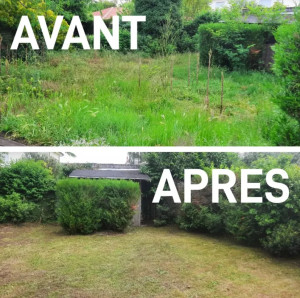 Photo de galerie - Débroussaillage
