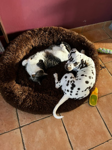 Photo de galerie - Moment tendresse 
