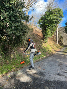 Photo de galerie - Tonte de pelouse - Débroussaillage