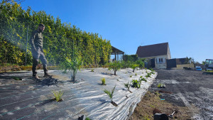 Photo de galerie - Plantation 