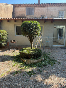 Photo de galerie - Taille boule 