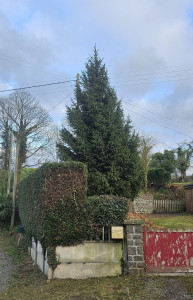 Photo de galerie - APRÈS 
remise en état jardin 