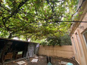 Photo de galerie - Enlèvements de vignes