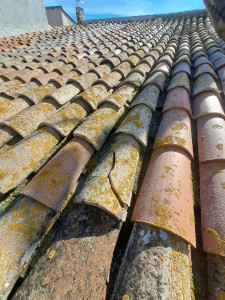 Photo de galerie - Couverture - Toiture