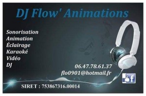 Photo réalisation - Animateur  - Florian ... (DJ Flow' Anim...) - Isle-Aumont : Location de matériel de sonorisation / éclairage avec prestataire