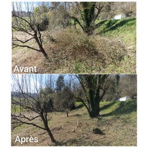 Photo de galerie - Gros débroussaillage d'une parcelle 