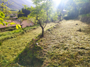 Photo de galerie - Tonte de pelouse - Débroussaillage