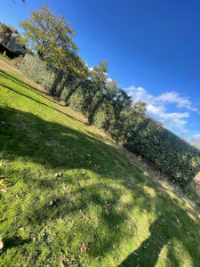 Photo de galerie - Taille