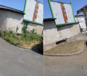 Photo de galerie - Tonte de pelouse - Débroussaillage