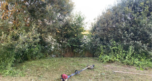 Photo de galerie - Débroussaillage 