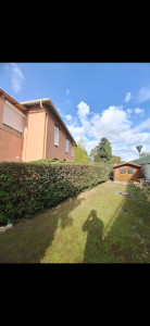 Photo de galerie - Taille de haies et d'arbustes