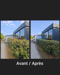 Photo de galerie - Taille d'une haie