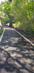 Photo de galerie - Nettoyage bordure 