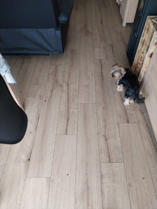 Photo de galerie - Pose de parquet - Revêtement de sol