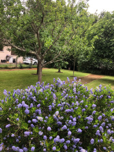 Photo de galerie - Jardinier