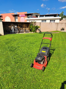 Photo de galerie - Tonte pelouse