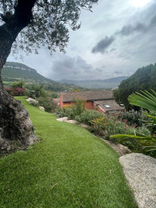 Photo de galerie - Paysagiste - Aménagement du jardin