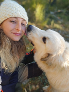 Photo de galerie - Jeune patous