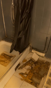 Photo de galerie - Douche avant la rénovation 