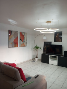 Photo de galerie - Pose de luminaires+ cadre peinture 