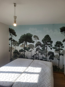 Photo de galerie - Pose papier peint 3D