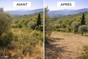 Photo de galerie - Débroussaillage