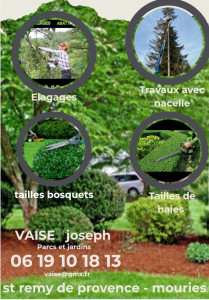 Photo de galerie - Abattage, elagage,soins des arbres Etc...