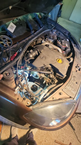 Photo de galerie - .