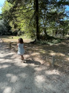 Photo de galerie - Promenade au parc 