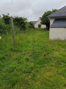 Photo de galerie - Tonte de pelouse - Débroussaillage