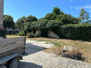 Photo de galerie - Tonte de pelouse - Débroussaillage