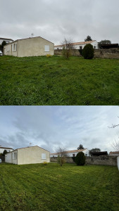 Photo de galerie - Tonte de pelouse - Débroussaillage