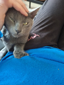 Photo de galerie - Un petit moment de tendresse 