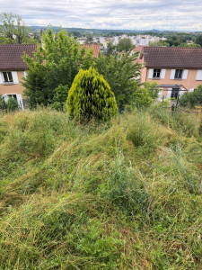 Photo de galerie - Avant débroussailler 
