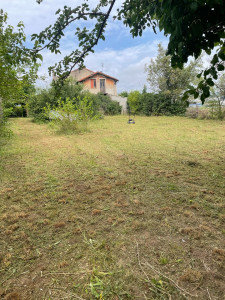 Photo de galerie - Jardinier