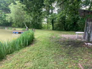 Photo de galerie - Débroussaillage