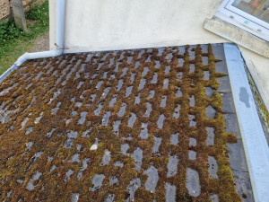 Photo de galerie - Demousage avant 