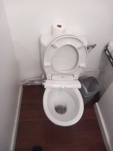 Photo de galerie - Une chasse d'eau 