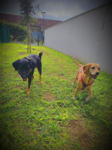 Photo de galerie - Sisko & Mya garde de l'été 2024