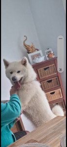 Photo de galerie - En plein câlin, 