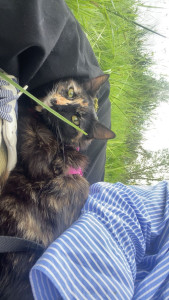 Photo de galerie - Mia 