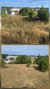 Photo de galerie - Remise en propre d'un terrain de 1300 m² avec un broyeur à fléaux. Clients 100 % satisfaits.