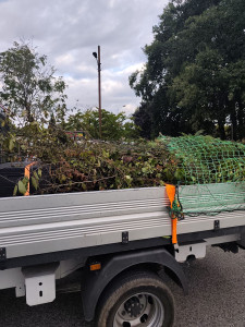 Photo de galerie - Débroussaillage, coupe d'arbres et mise en déchetterie 